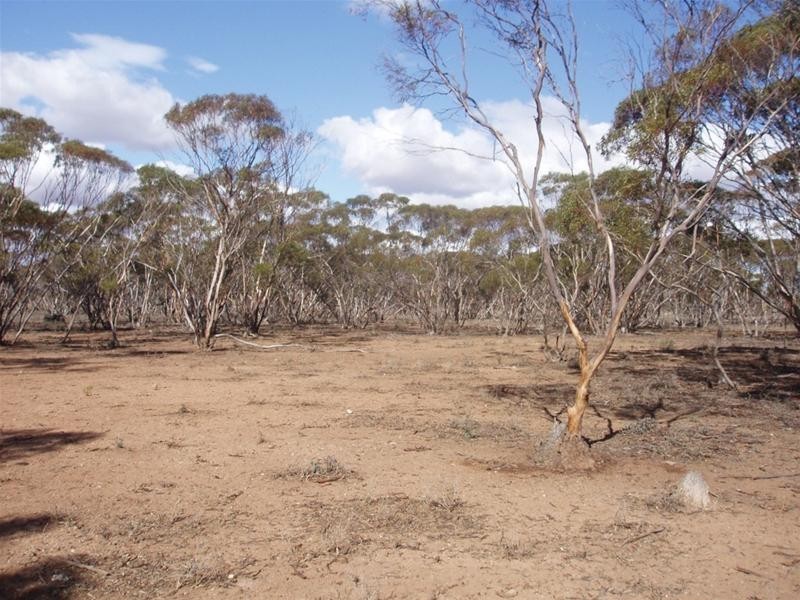 LOT 48 Gaston Road, Swan Reach SA 5354