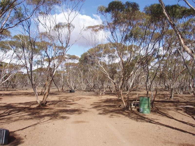 LOT 48 Gaston Road, Swan Reach SA 5354