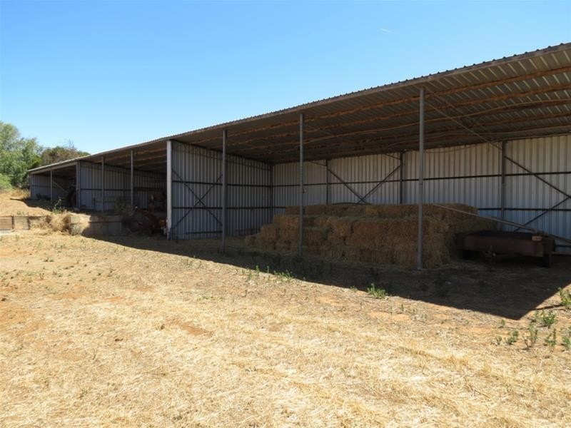 121 Zadow Road, Caloote SA 5254