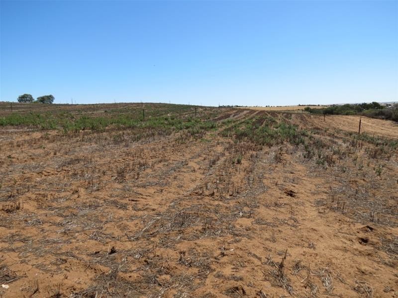 121 Zadow Road, Caloote SA 5254