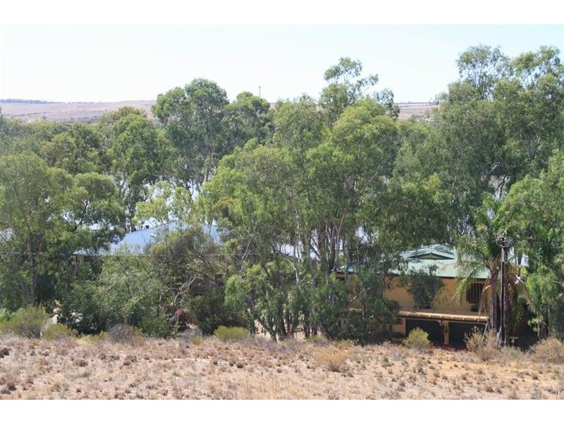 87 Preiss Street, Mannum SA 5238