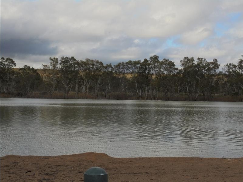 41 Tom Groggin Drive, Younghusband SA 5238