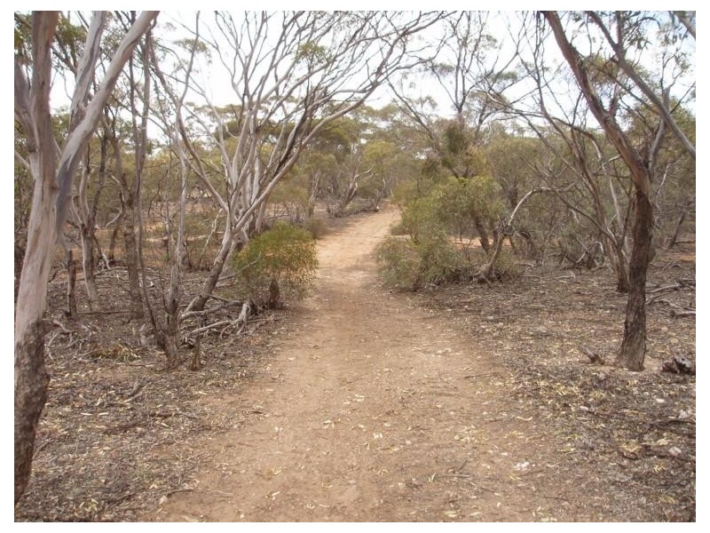 Lot 32 Government Road, Black Hill SA 5353