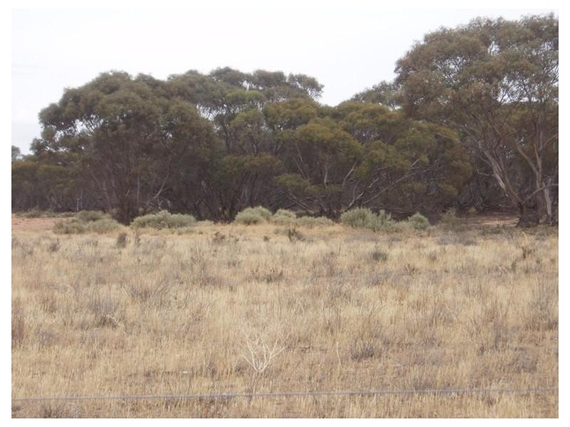 Lot 32 Government Road, Black Hill SA 5353