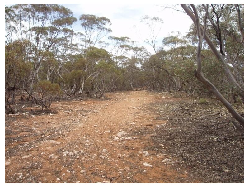 Lot 32 Government Road, Black Hill SA 5353