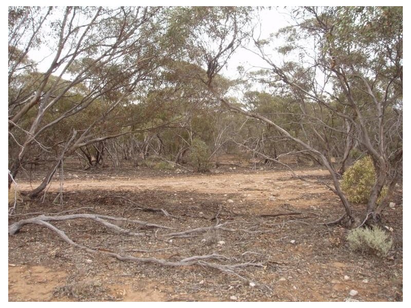 Lot 32 Government Road, Black Hill SA 5353