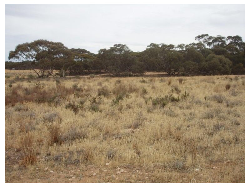 Lot 32 Government Road, Black Hill SA 5353