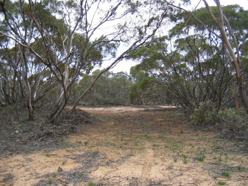 Lot 32 Government Road, Black Hill SA 5353