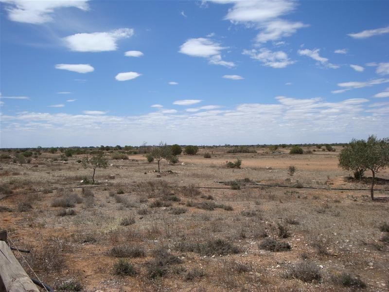 LOT 3 Hundred Of Ridley, Sunnydale SA 5354