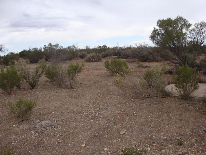 LOT 3 Hundred Of Ridley, Sunnydale SA 5354