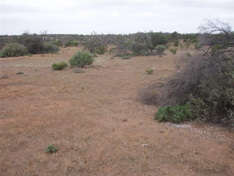 LOT 3 Hundred Of Ridley, Sunnydale SA 5354