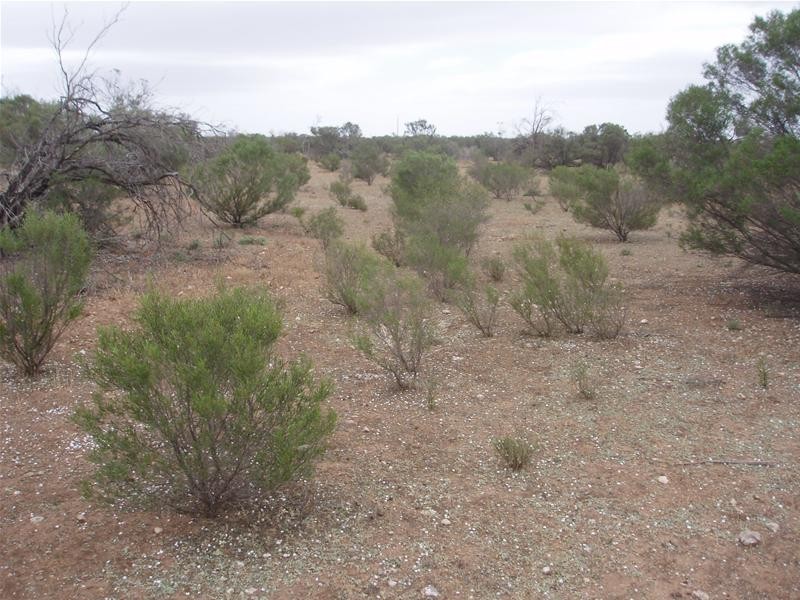 LOT 3 Hundred Of Ridley, Sunnydale SA 5354