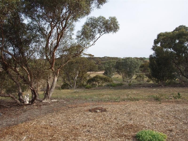 LOT 4 Black Hill Cambrai Road, Black Hill SA 5353