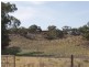 LOT 4 Black Hill Cambrai Road, Black Hill SA 5353