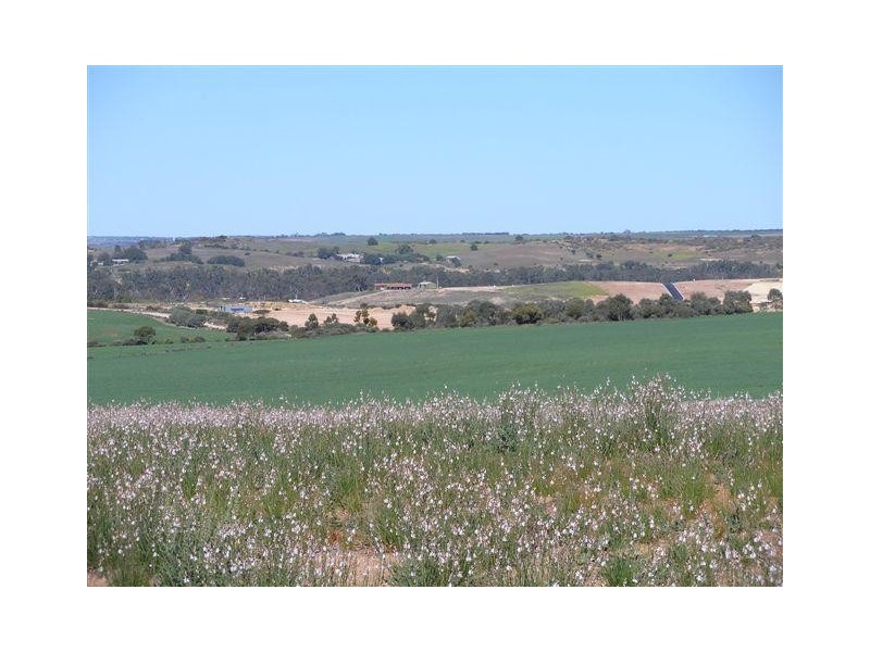 105 ‘Sunset Rise Estate’ Magpie Crescent, Mannum SA 5238