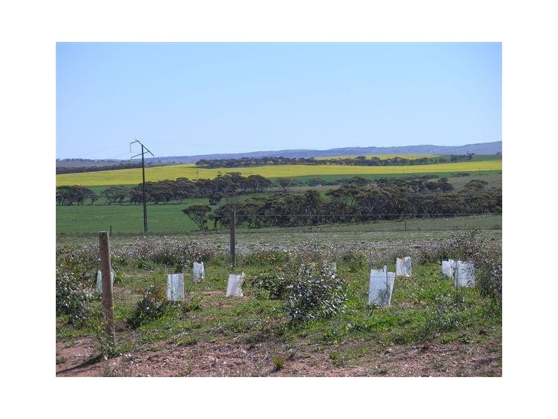 105 ‘Sunset Rise Estate’ Magpie Crescent, Mannum SA 5238