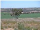 105 ‘Sunset Rise Estate’ Magpie Crescent, Mannum SA 5238