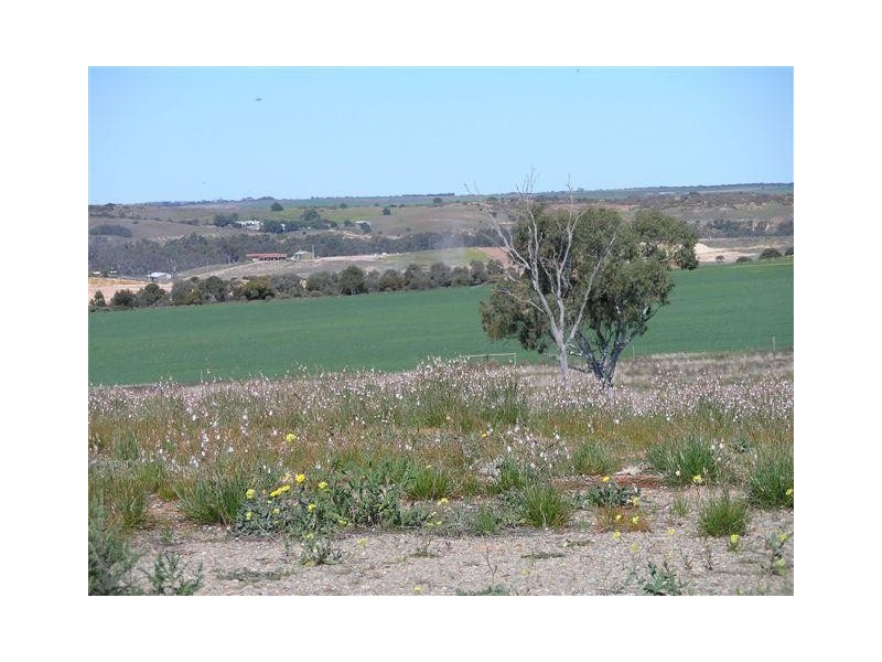 105 ‘Sunset Rise Estate’ Magpie Crescent, Mannum SA 5238