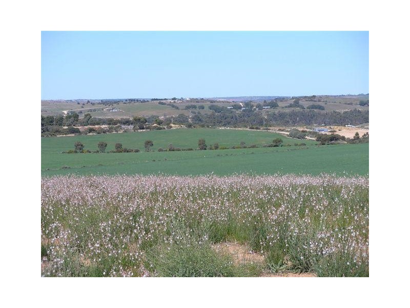 105 ‘Sunset Rise Estate’ Magpie Crescent, Mannum SA 5238