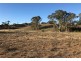 Lot 8 Rochow Road, Black Hill SA 5353