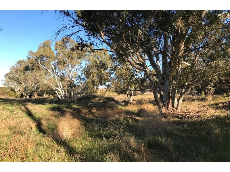 Lot 8 Rochow Road, Black Hill SA 5353