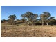 Lot 8 Rochow Road, Black Hill SA 5353