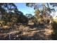 Lot 8 Rochow Road, Black Hill SA 5353
