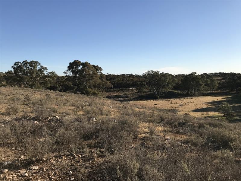 Lot 8 Rochow Road, Black Hill SA 5353