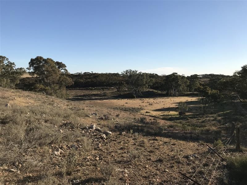 Lot 8 Rochow Road, Black Hill SA 5353