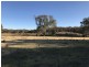 Lot 8 Rochow Road, Black Hill SA 5353