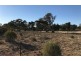 Lot 8 Rochow Road, Black Hill SA 5353