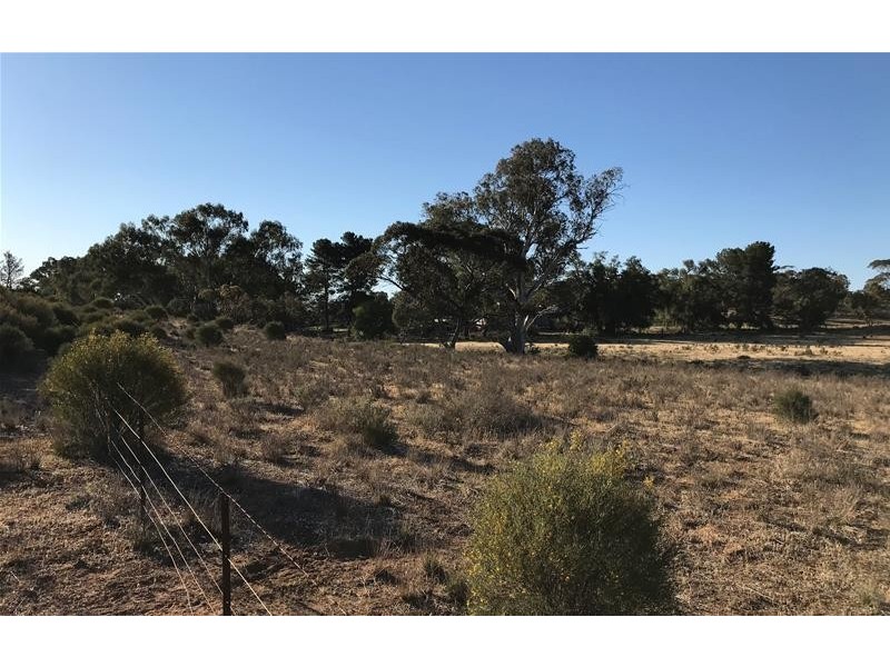 Lot 8 Rochow Road, Black Hill SA 5353