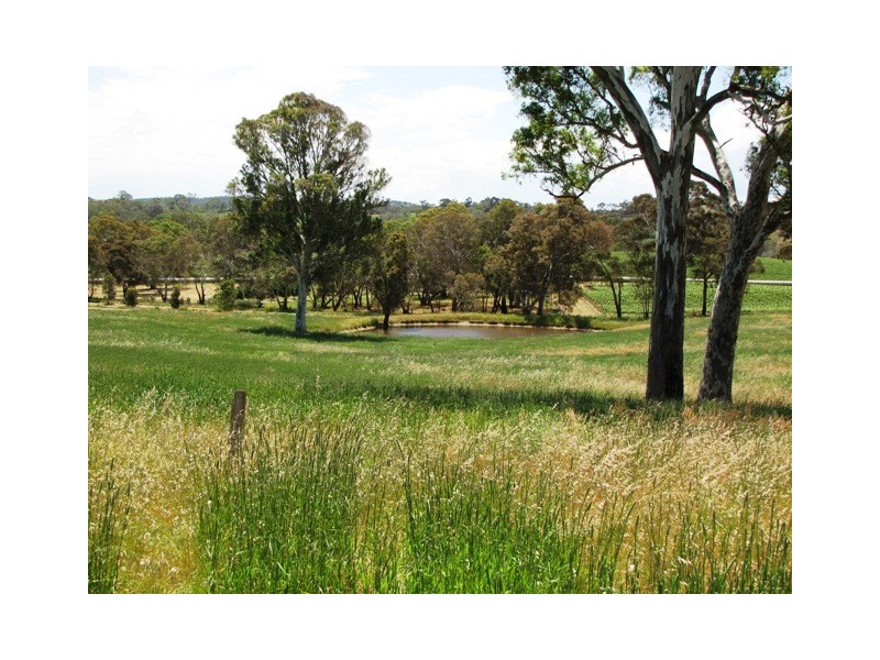 74 Blocks Road, Birdwood SA 5234