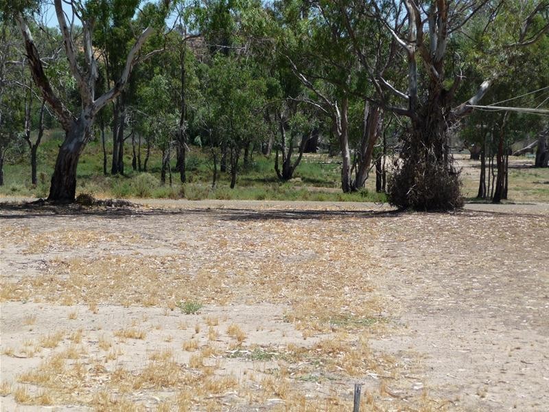 63 Marks Landing, Swan Reach SA 5354