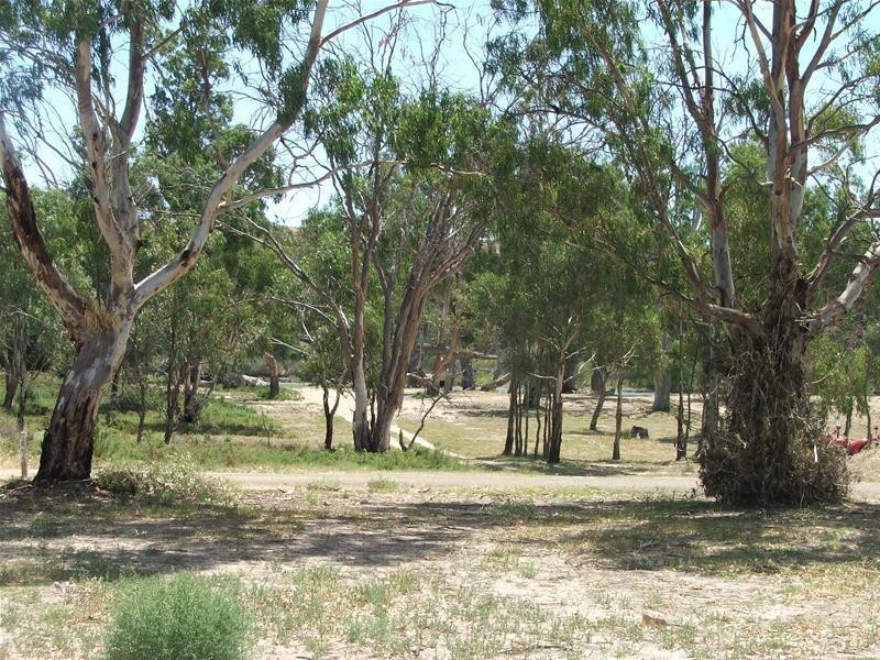 63 Marks Landing, Swan Reach SA 5354