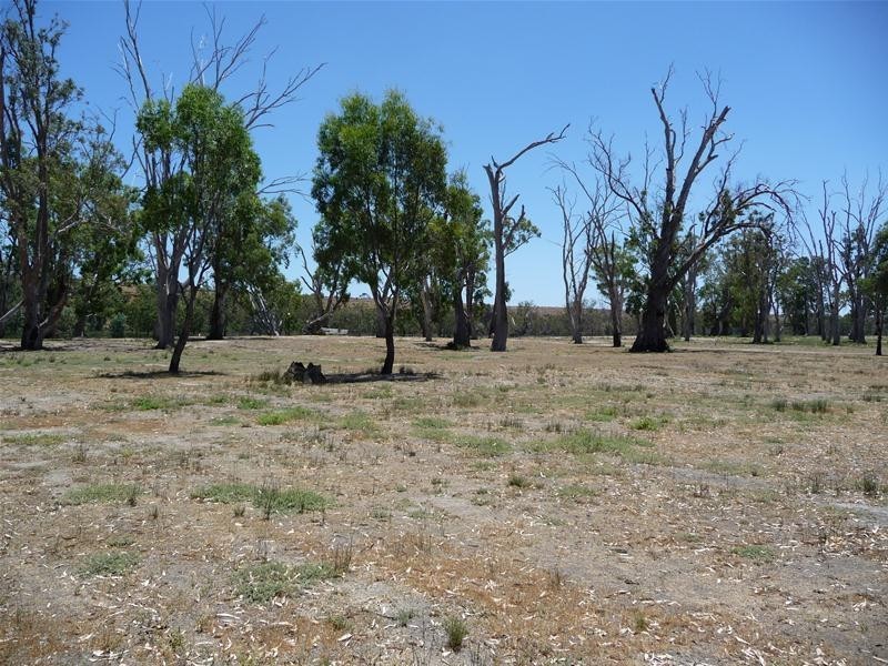 63 Marks Landing, Swan Reach SA 5354