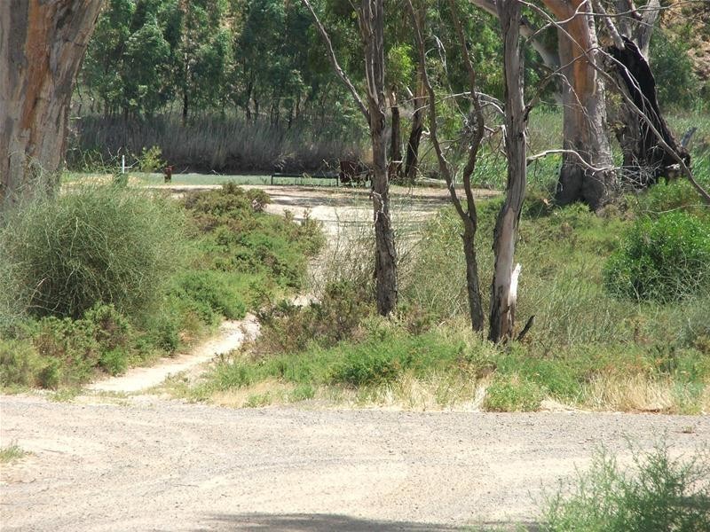 63 Marks Landing, Swan Reach SA 5354