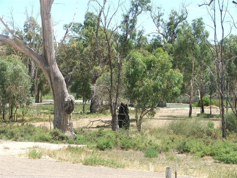 63 Marks Landing, Swan Reach SA 5354