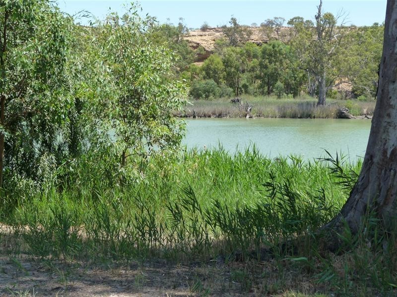 63 Marks Landing, Swan Reach SA 5354