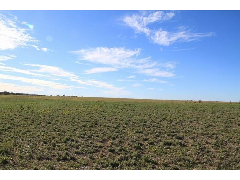 1 & 2 Kirkness Road, Mannum SA 5238