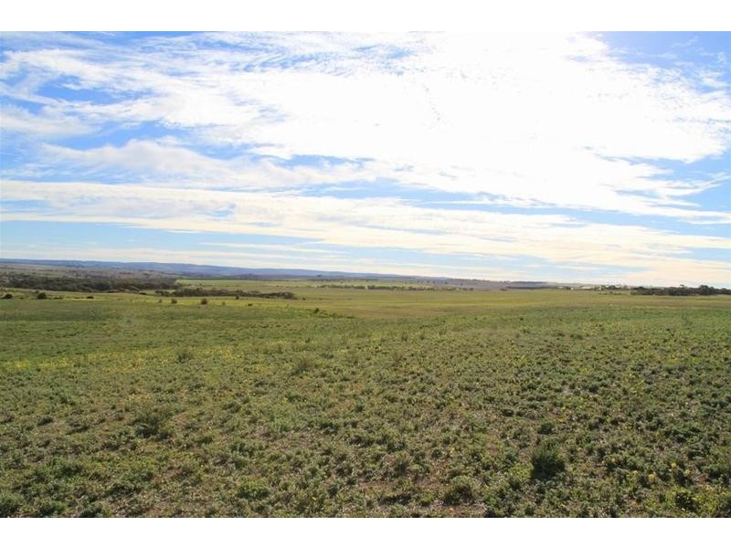 1 & 2 Kirkness Road, Mannum SA 5238