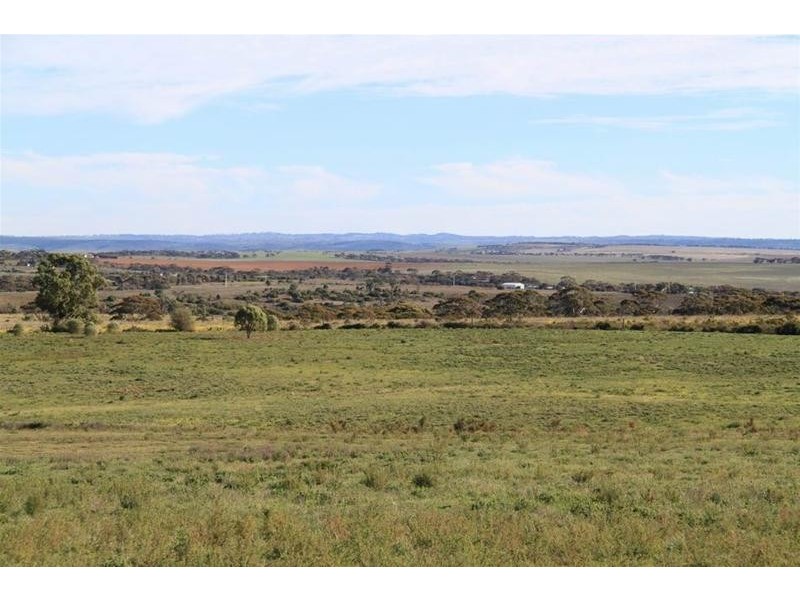 1 & 2 Kirkness Road, Mannum SA 5238