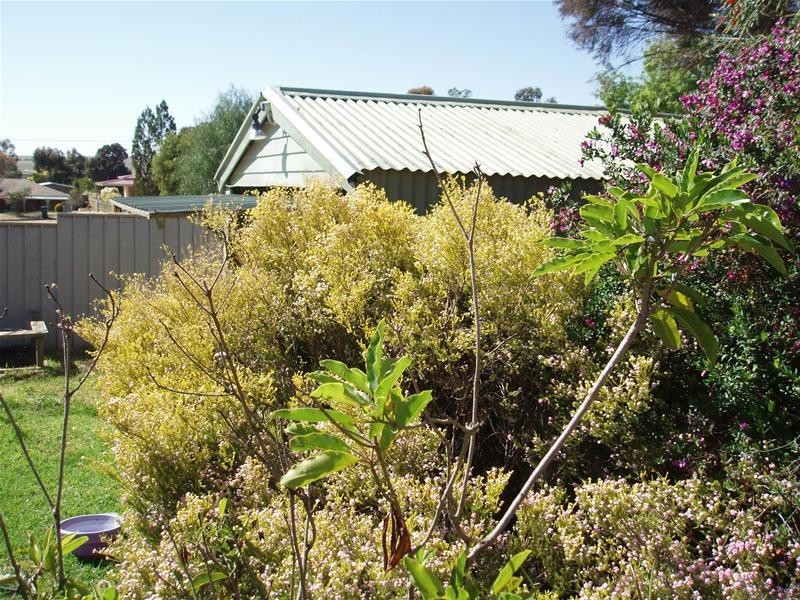 7 Hardy Street, Mannum SA 5238