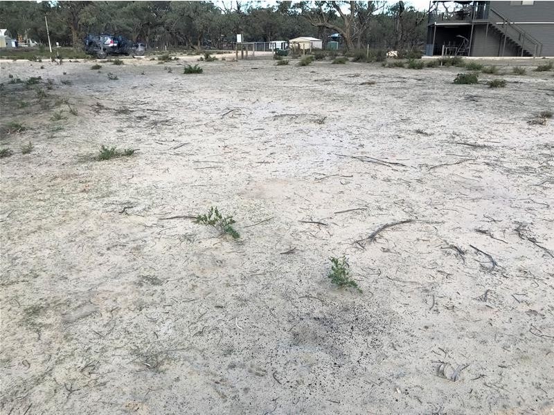 Lot 74 Page Drive, Blanchetown SA 5357