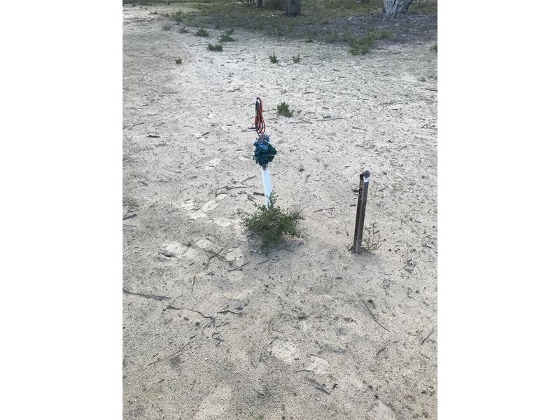 Lot 74 Page Drive, Blanchetown SA 5357