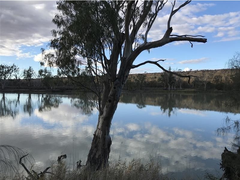 Lot 74 Page Drive, Blanchetown SA 5357