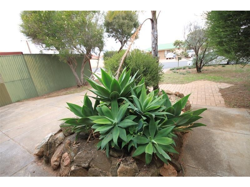 3 Banks Street, Mannum SA 5238