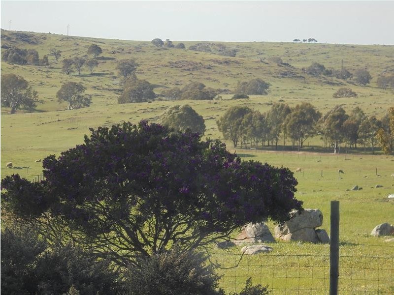 193 Ayres Road, Tungkillo SA 5236