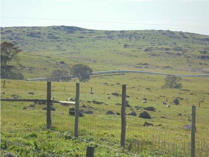 193 Ayres Road, Tungkillo SA 5236