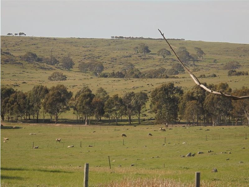 193 Ayres Road, Tungkillo SA 5236